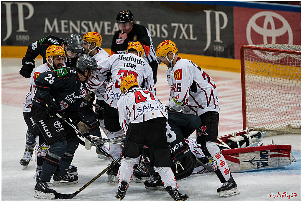 DEL, Koelner Haie - Fishtown Pinguins Bremerhaven, 29.01.2017